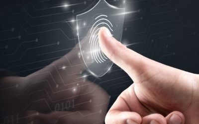 Creating an IT Compliance Policy: What Every Business Must Know