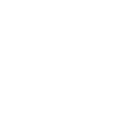 Fixing IT issues icon